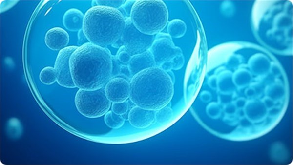 我市一中心医院联合北京大学干细胞中心 糖尿病治疗获重大临床突破