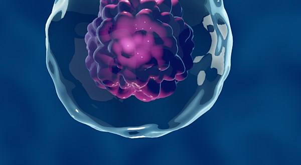 胎盘羊膜干细胞