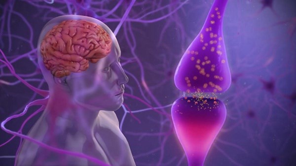 Cell Stem Cell：人胚胎干细胞来源的多巴胺能祖细胞治疗帕金森病