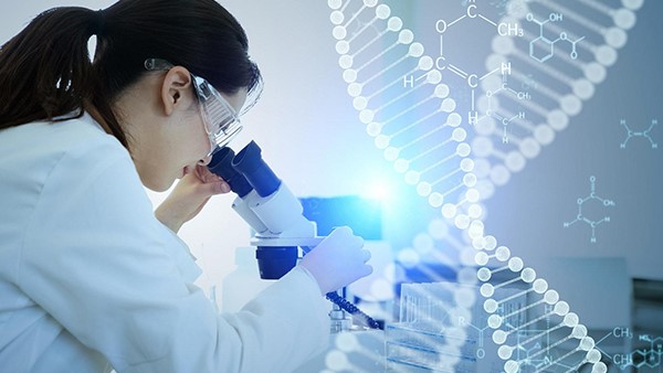 重编程干细胞：糖尿病治疗的新曙光